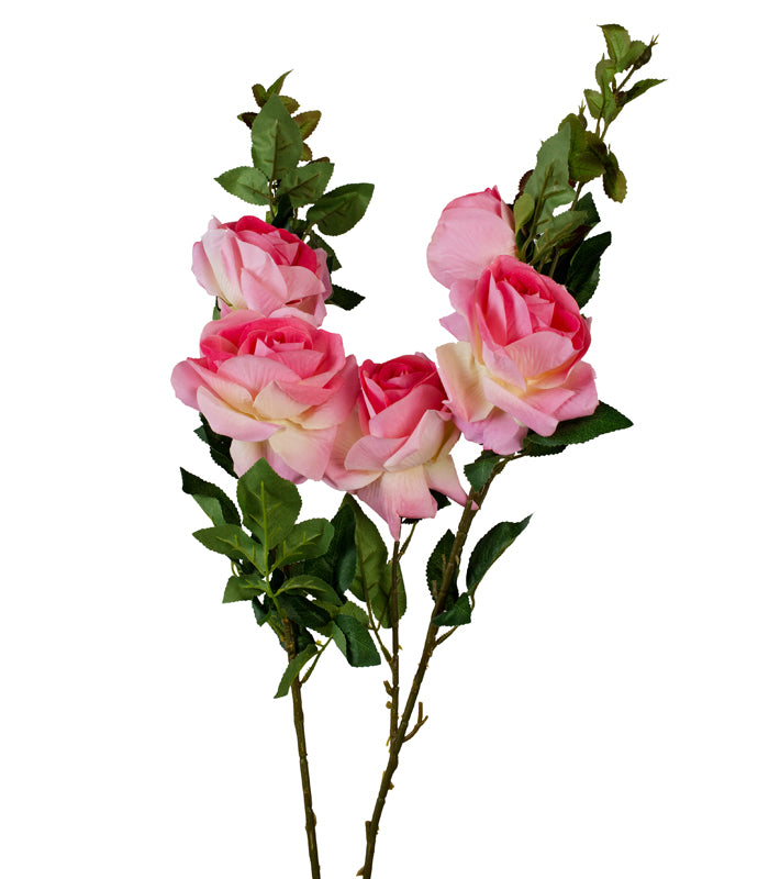 Rose Trio - Pink  - Set of 2