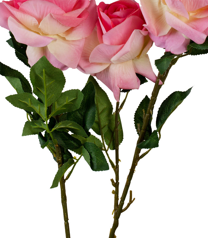 Rose Trio - Pink  - Set of 2