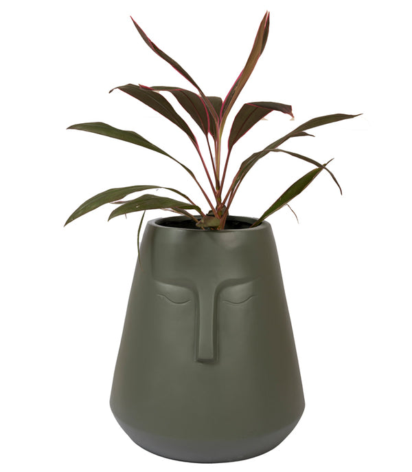 Snooty Planter - Grey