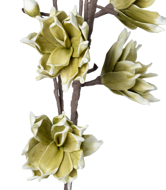 Southern Magnolia Green - Set of 2