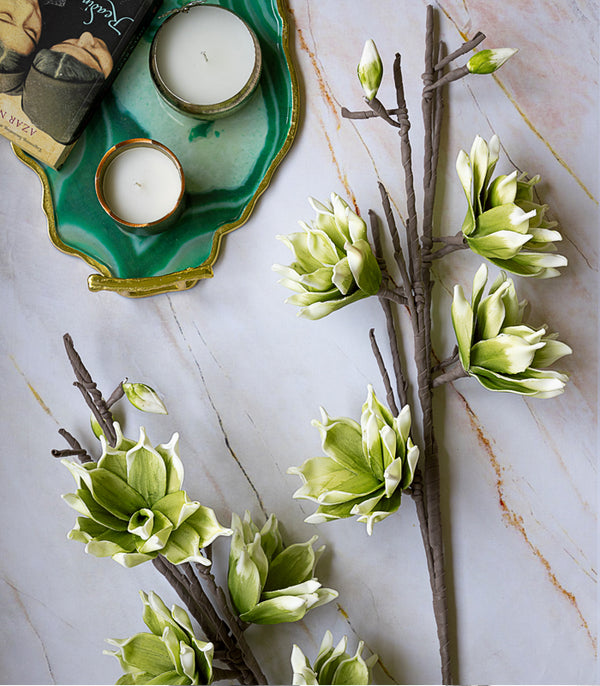 Southern Magnolia Green - Set of 2