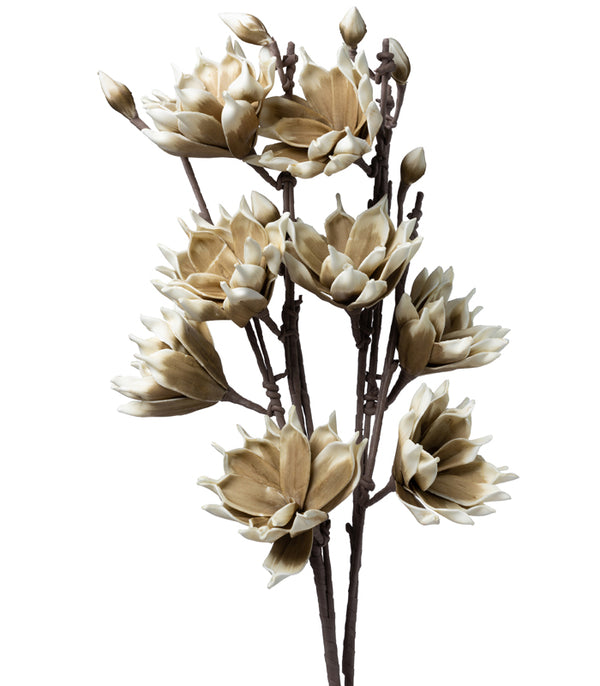 Southern Magnolia Olive - Set of 2