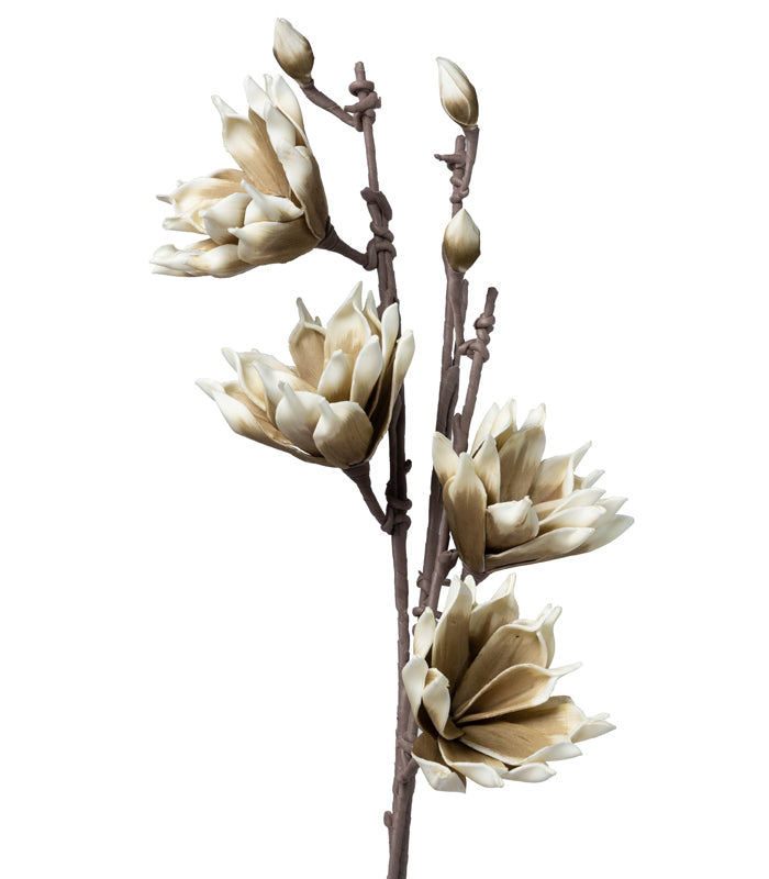 Southern Magnolia Olive - Set of 2
