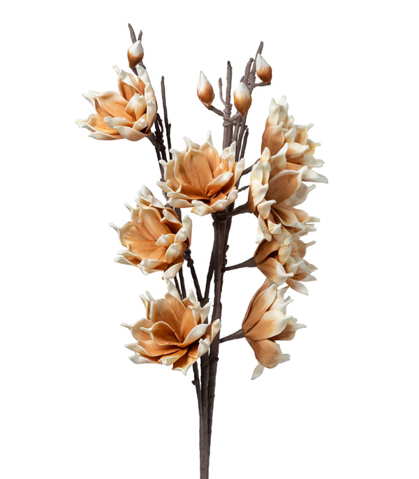 Southern Magnolia Orange - Set of 2