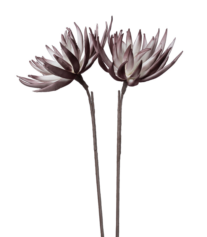 Sugar Bush Purple - Set of 2