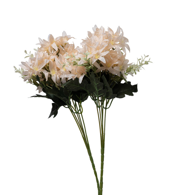 Tuberose Peach - Set of 2