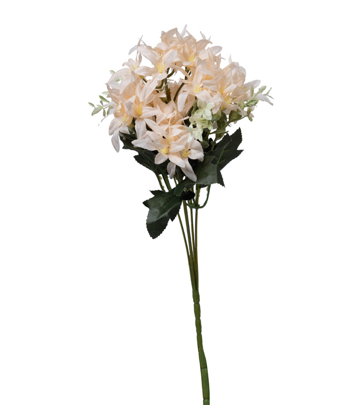 Tuberose Peach - Set of 2