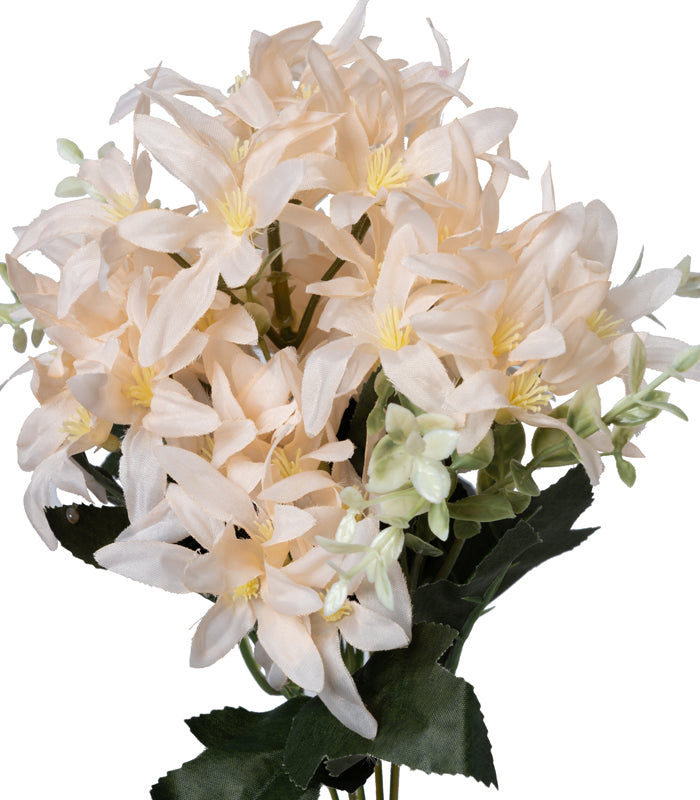 Tuberose Peach - Set of 2