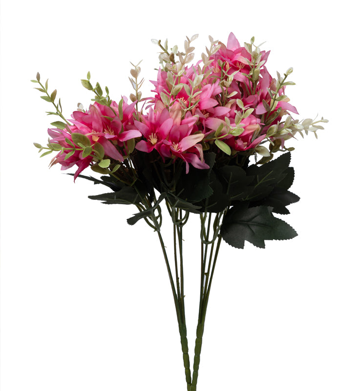Tuberose Pink - Set of 2