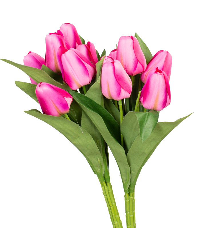 Tulip Bunch - Pink - Set of 2