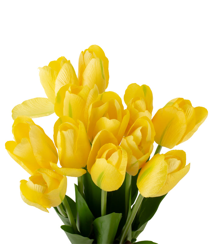 Tulip Stack - Yellow